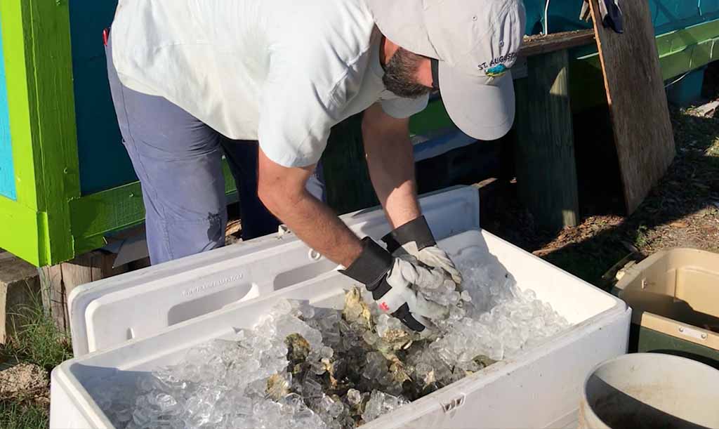 ice for fishing st augustine fl